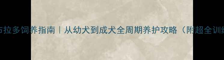 图片 📌新手必看！拉布拉多饲养指南｜从幼犬到成犬全周期养护攻略（附超全训练饮食健康清单）