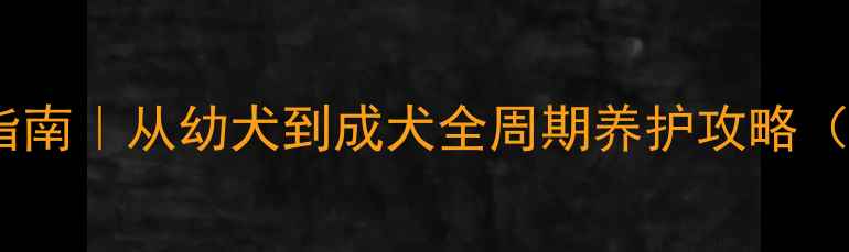 图片 📌新手必看！拉布拉多饲养指南｜从幼犬到成犬全周期养护攻略（附超全训练饮食健康清单）2