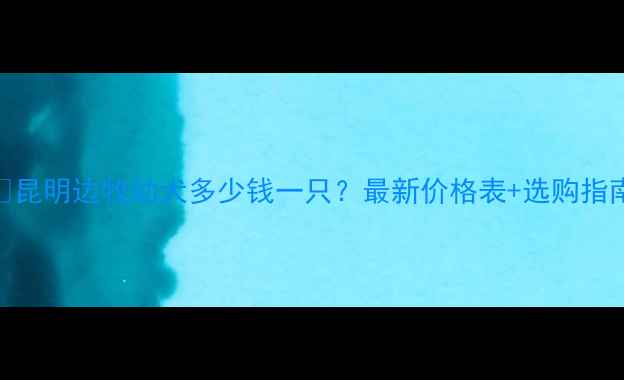 图片 📌昆明边牧幼犬多少钱一只？最新价格表+选购指南