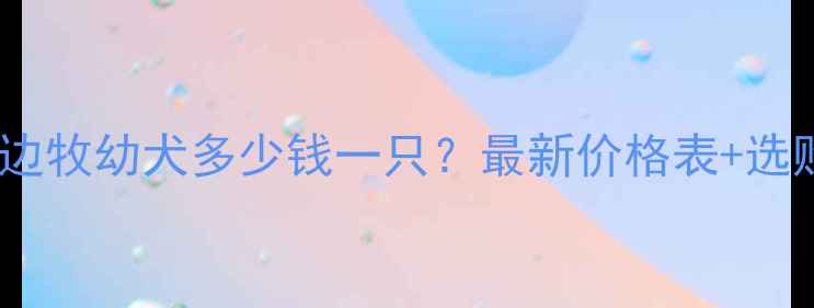 图片 📌昆明边牧幼犬多少钱一只？最新价格表+选购指南1