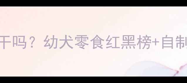 图片 📌泰迪能吃饼干吗？幼犬零食红黑榜+自制食谱大公开✨