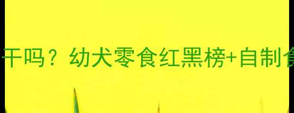 图片 📌泰迪能吃饼干吗？幼犬零食红黑榜+自制食谱大公开✨1