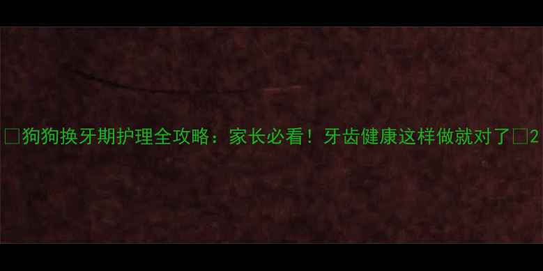 图片 📌狗狗换牙期护理全攻略：家长必看！牙齿健康这样做就对了✨2