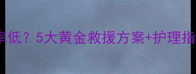 图片 📌狗狗细小病毒治愈率低？5大黄金救援方案+护理指南（附真实案例）🐾1