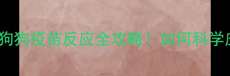 图片 📌疫苗后发烧呕吐？狗狗疫苗反应全攻略！如何科学应对犬瘟细小风险？2