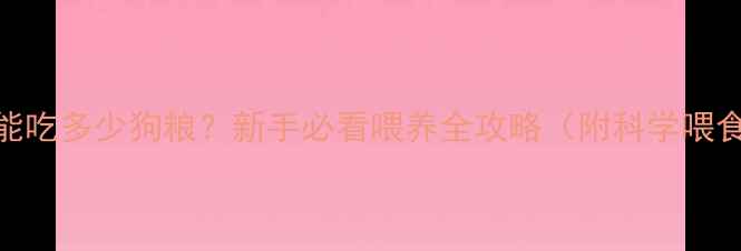 图片 📌金毛幼犬一个月能吃多少狗粮？新手必看喂养全攻略（附科学喂食公式+避坑指南）1