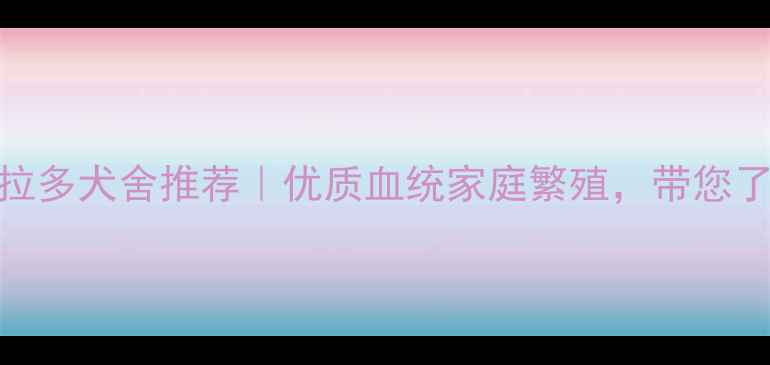 图片 📝河南南阳拉布拉多犬舍推荐｜优质血统家庭繁殖，带您了解选犬全攻略🐾