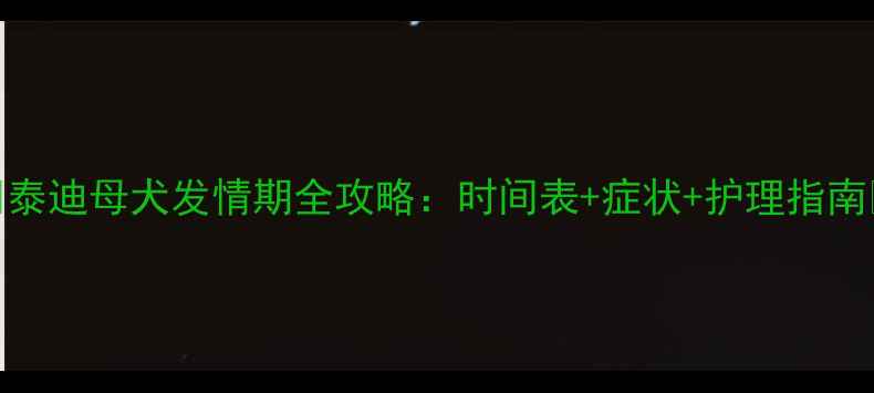 图片 📝泰迪母犬发情期全攻略：时间表+症状+护理指南🐾