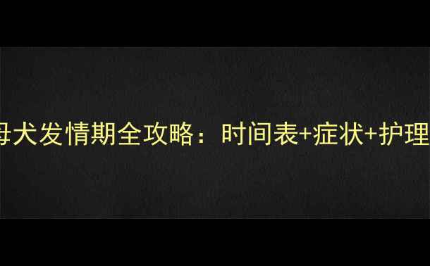 图片 📝泰迪母犬发情期全攻略：时间表+症状+护理指南🐾2