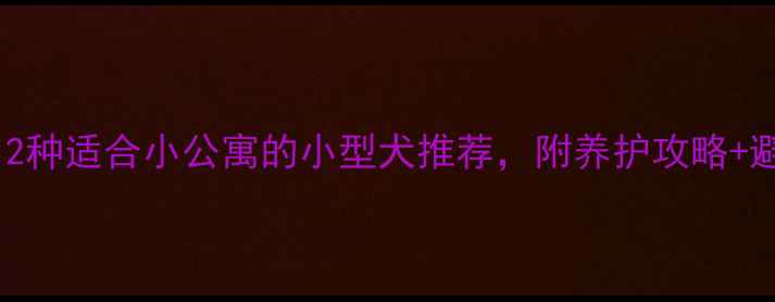 图片 📝超全！12种适合小公寓的小型犬推荐，附养护攻略+避坑指南🐾