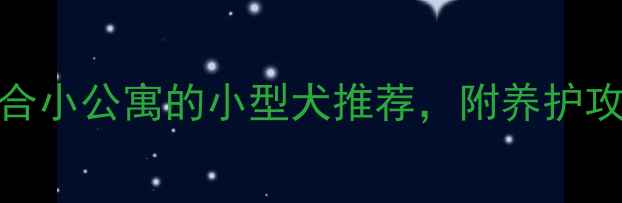 图片 📝超全！12种适合小公寓的小型犬推荐，附养护攻略+避坑指南🐾1