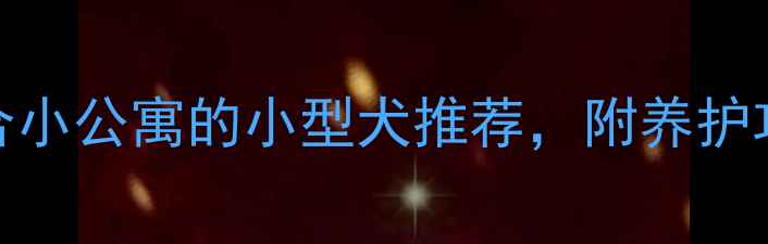 图片 📝超全！12种适合小公寓的小型犬推荐，附养护攻略+避坑指南🐾2