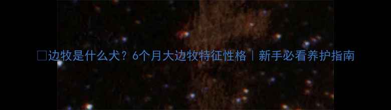 图片 📝边牧是什么犬？6个月大边牧特征性格｜新手必看养护指南