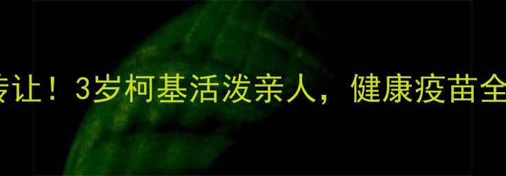 图片 📣中山家庭自养小狗领养转让！3岁柯基活泼亲人，健康疫苗全，自带狗窝等你带回家🐾1