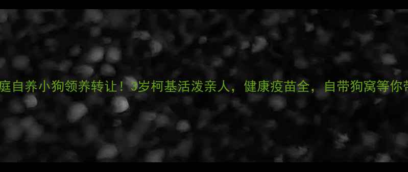 图片 📣中山家庭自养小狗领养转让！3岁柯基活泼亲人，健康疫苗全，自带狗窝等你带回家🐾2