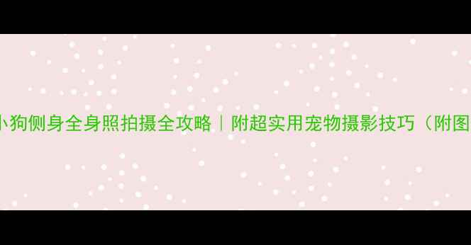 图片 📸小狗侧身全身照拍摄全攻略｜附超实用宠物摄影技巧（附图）2