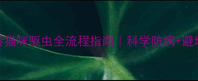 图片 🔍2月龄猫咪驱虫全流程指南｜科学防病+避坑攻略1