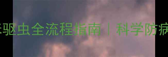 图片 🔍2月龄猫咪驱虫全流程指南｜科学防病+避坑攻略2