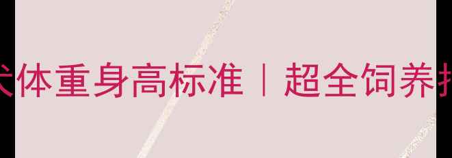 图片 🔍5个月迷你杜宾犬体重身高标准｜超全饲养指南！家长必看！2
