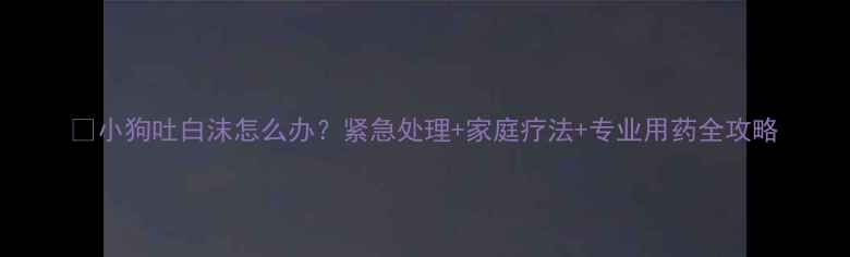 图片 🔍小狗吐白沫怎么办？紧急处理+家庭疗法+专业用药全攻略