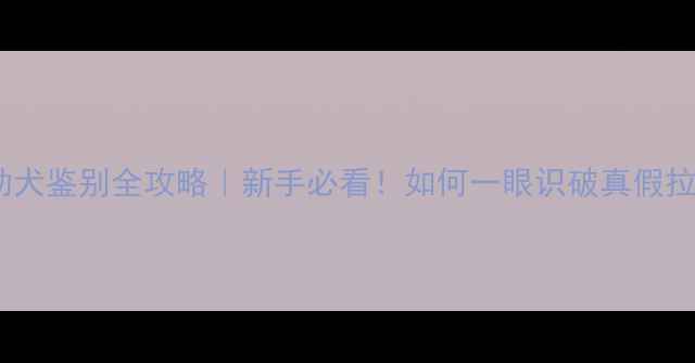 图片 🔍拉布拉多幼犬鉴别全攻略｜新手必看！如何一眼识破真假拉布拉多？🐾2
