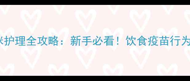 图片 🔥2个月大猫咪护理全攻略：新手必看！饮食疫苗行为训练一篇搞定