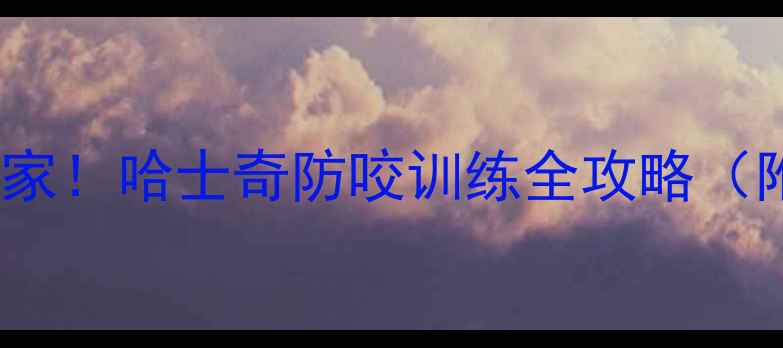 图片 🔥30天告别拆家！哈士奇防咬训练全攻略（附实操步骤）1