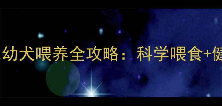 图片 🔥3个月金毛幼犬喂养全攻略：科学喂食+健康发育指南