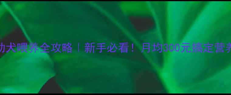 图片 🔥3个月金毛幼犬喂养全攻略｜新手必看！月均300元搞定营养+疫苗+训练2