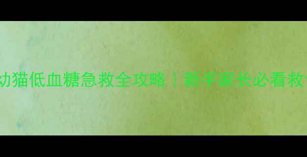 图片 🔥4个月幼猫低血糖急救全攻略｜新手家长必看救命指南🐾