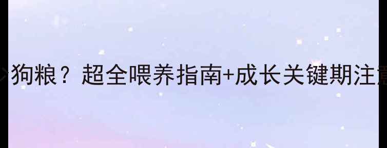 图片 🔥4个月贵宾吃多少狗粮？超全喂养指南+成长关键期注意事项（附食谱）2
