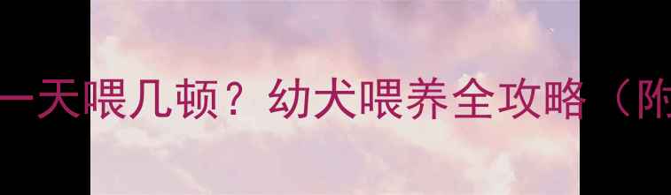 图片 🔥6个月哈士奇一天喂几顿？幼犬喂养全攻略（附科学喂食表）1