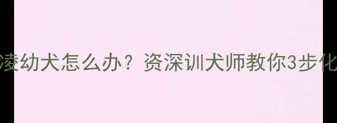 图片 🔥8个月泰迪欺凌幼犬怎么办？资深训犬师教你3步化解狗间霸凌！1