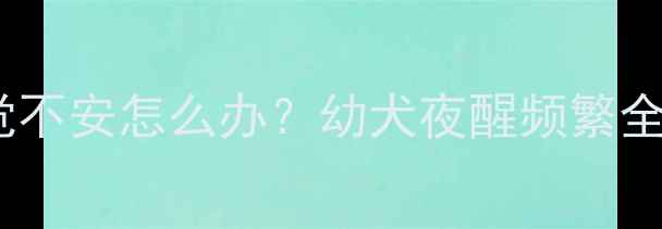 图片 🔥9个月大金毛犬睡觉不安怎么办？幼犬夜醒频繁全攻略（附改善方案）