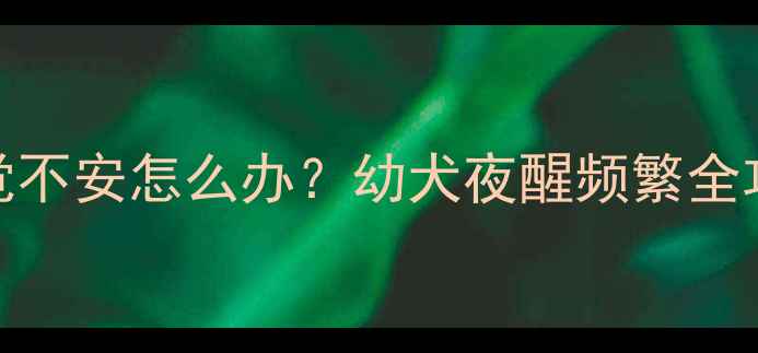 图片 🔥9个月大金毛犬睡觉不安怎么办？幼犬夜醒频繁全攻略（附改善方案）1