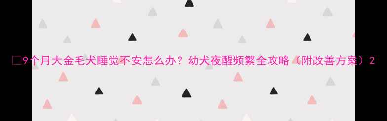 图片 🔥9个月大金毛犬睡觉不安怎么办？幼犬夜醒频繁全攻略（附改善方案）2