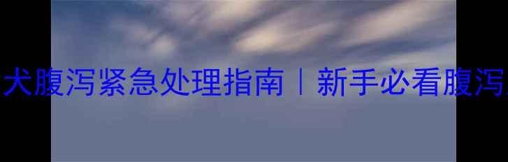 图片 🔥两个月大幼犬腹泻紧急处理指南｜新手必看腹泻应对全攻略🐾