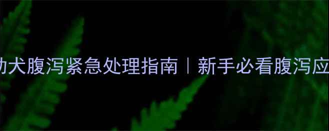 图片 🔥两个月大幼犬腹泻紧急处理指南｜新手必看腹泻应对全攻略🐾2