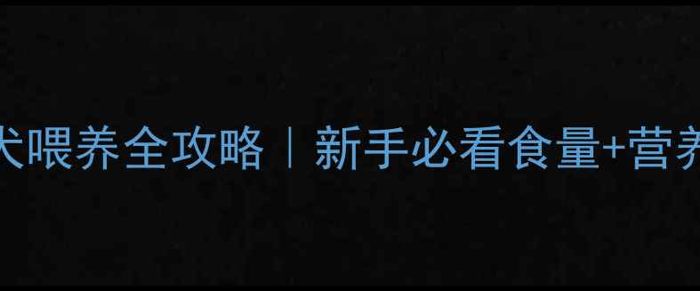 图片 🔥两个月秋田幼犬喂养全攻略｜新手必看食量+营养搭配+疾病预防1