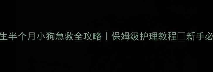 图片 🔥出生半个月小狗急救全攻略｜保姆级护理教程🐾新手必看！