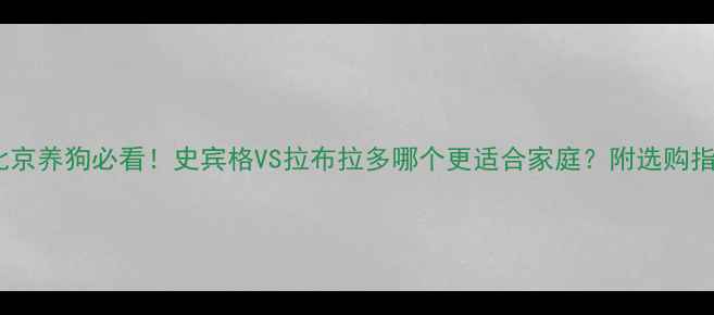 图片 🔥北京养狗必看！史宾格VS拉布拉多哪个更适合家庭？附选购指南2