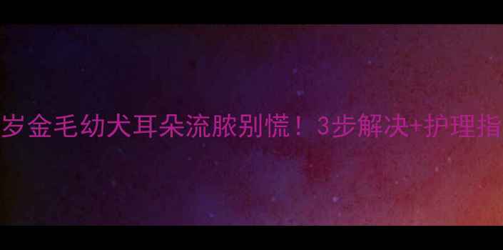 图片 🔥半岁金毛幼犬耳朵流脓别慌！3步解决+护理指南🔥