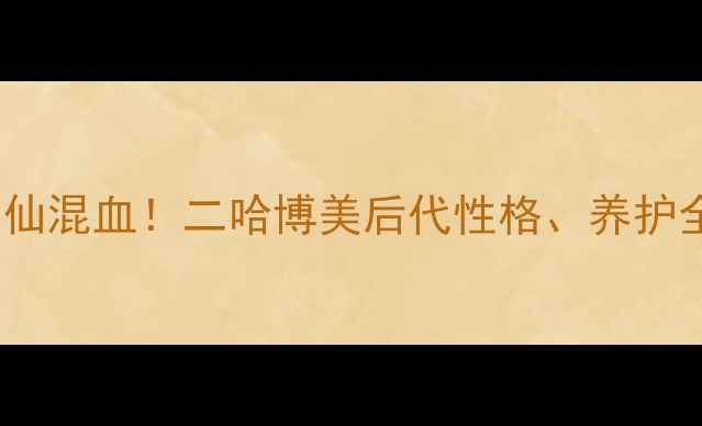图片 🔥博美×哈士奇=神仙混血！二哈博美后代性格、养护全攻略（附对比图）