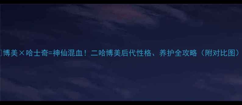 图片 🔥博美×哈士奇=神仙混血！二哈博美后代性格、养护全攻略（附对比图）2