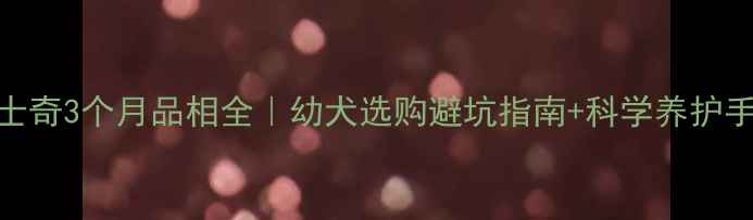 图片 🔥哈士奇3个月品相全｜幼犬选购避坑指南+科学养护手册🐾