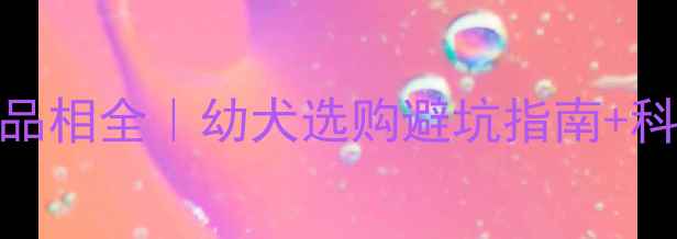 图片 🔥哈士奇3个月品相全｜幼犬选购避坑指南+科学养护手册🐾1