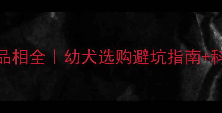 图片 🔥哈士奇3个月品相全｜幼犬选购避坑指南+科学养护手册🐾2