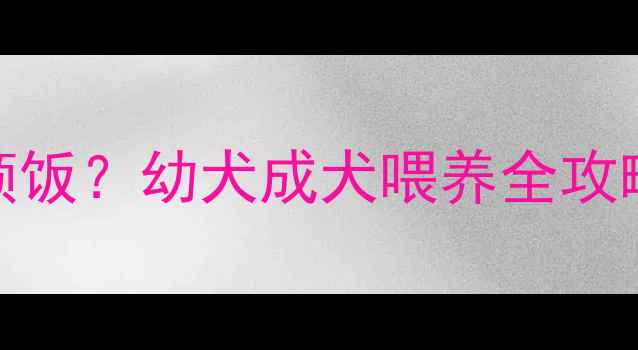 图片 🔥哈士奇一天到底吃几顿饭？幼犬成犬喂养全攻略（附食谱+避坑指南）2