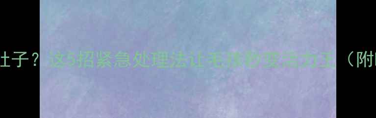 图片 🔥哈士奇不吃饭还拉肚子？这5招紧急处理法让毛孩秒变活力王（附喂食表+益生菌推荐）