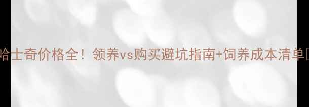 图片 🔥哈士奇价格全！领养vs购买避坑指南+饲养成本清单🔥2